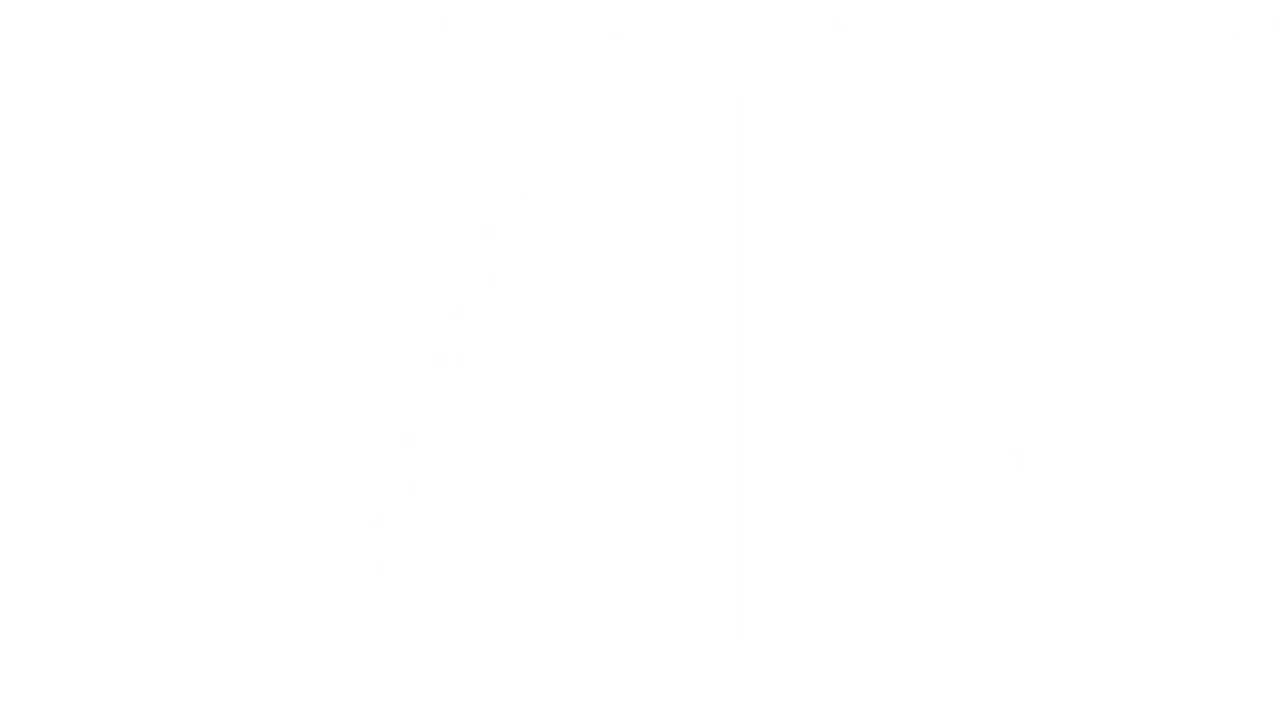 Nexalio Logo